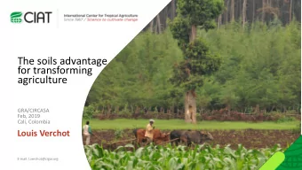 agriculture  GRA/CIRCASA  Feb, 2019  Cali, Colombia  Louis Verchot  E-mail: l.verchot@cigar.org