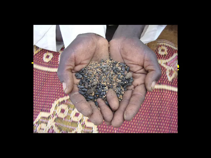 the environmentalist s tale damnation purgatory and