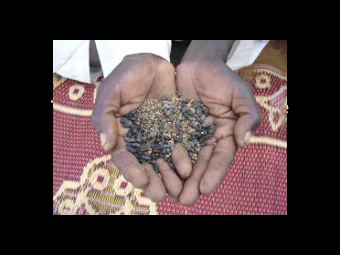 The Environmentalists Tale Damnation, Purgatory and  Armageddon The Environmentalists Tale  2