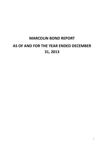 MARCOLIN BOND REPORT AS OF AND FOR THE YEAR ENDED DECEMBER 31, 2013 1 DISCLAIMER The following