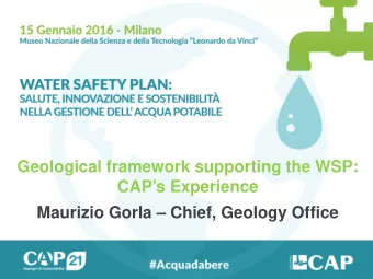 Geological framework supporting the WSP:  CAPs Experience  Maurizio Gorla  Chief, Geology