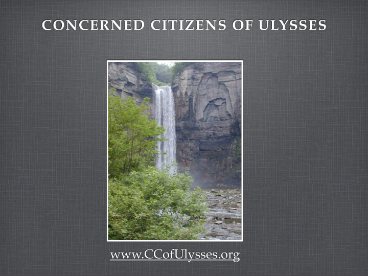 concerned citizens of ulysses