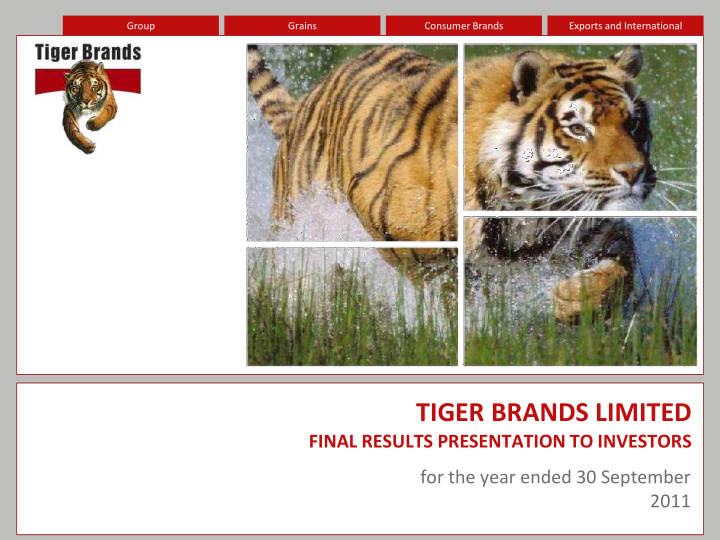 tiger brands limited