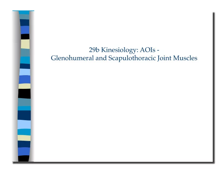 29b kinesiology aois glenohumeral and scapulothoracic