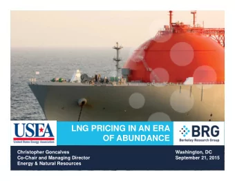 LNG PRICING IN AN ERA  OF ABUNDANCE  Christopher Goncalves  Washington, DC  Co-Chair and Managing
