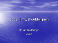 upper limb shoulder pain