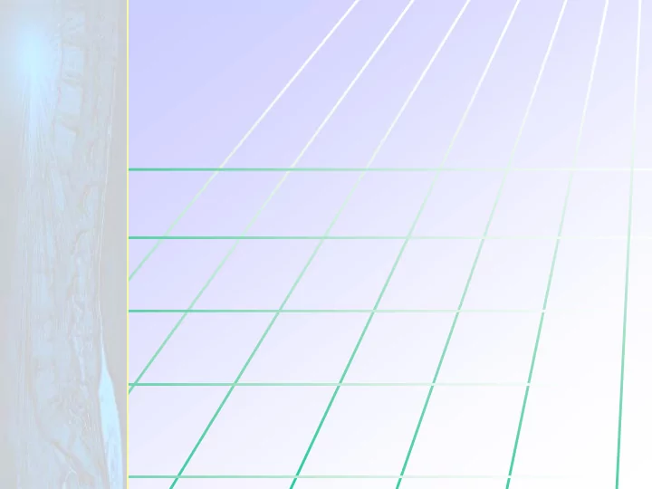 ne new v w visi ision on