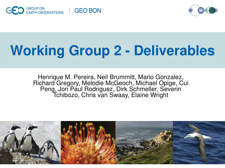 working group 2 deliverables