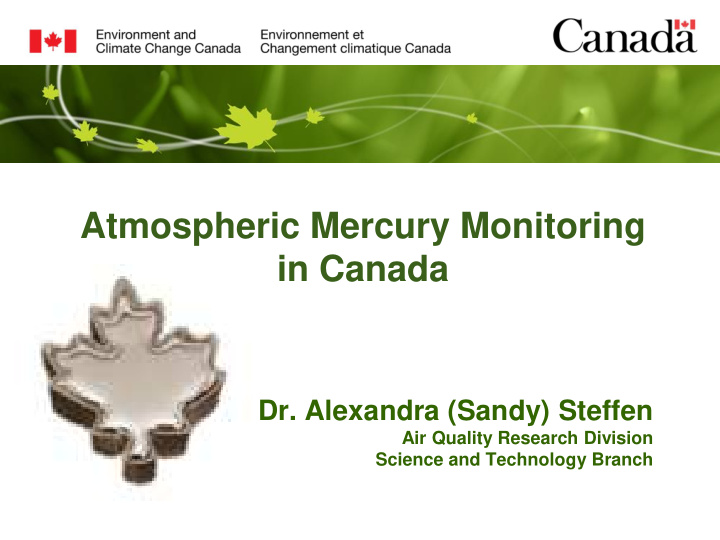atmospheric mercury monitoring