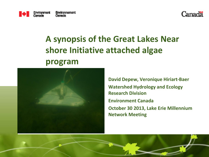 a synopsis of the great lakes near shore initiative