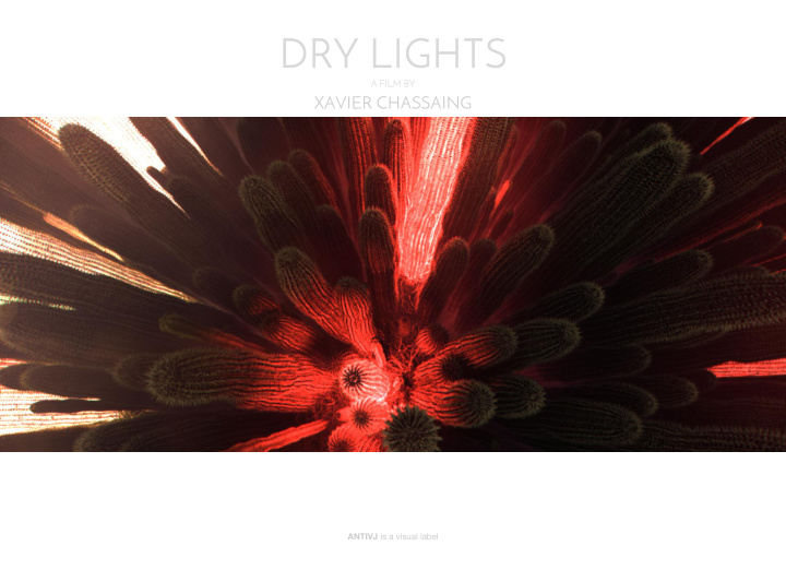 dry lights