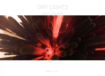 DRY LIGHTS  A FILM BY  XAVIER CHASSAING ANTIVJ is a visual label  DRY LIGHTS  A FILM BY XAVIER