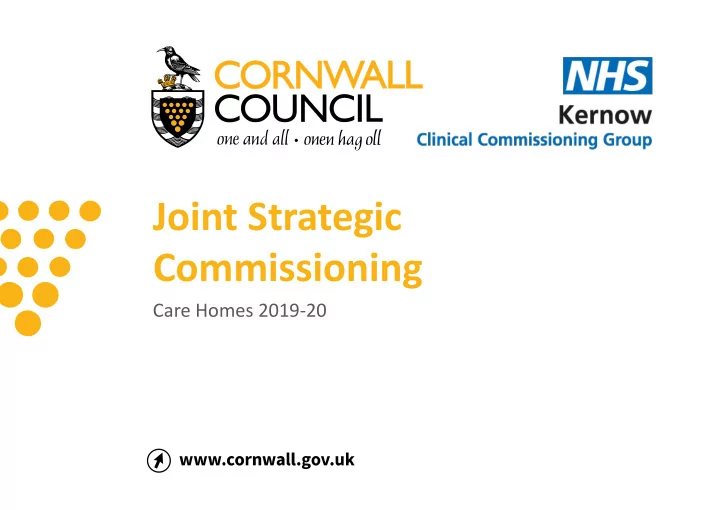 joint strategic commissioning