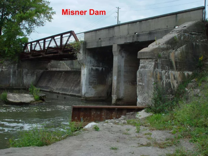 lynn river