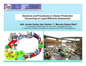 Decisions and Procedures to Cleaner Production  Concerning on Liquid Effluents Assessment Adir