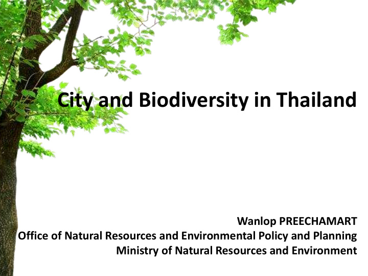 city and biodiversity in thailand