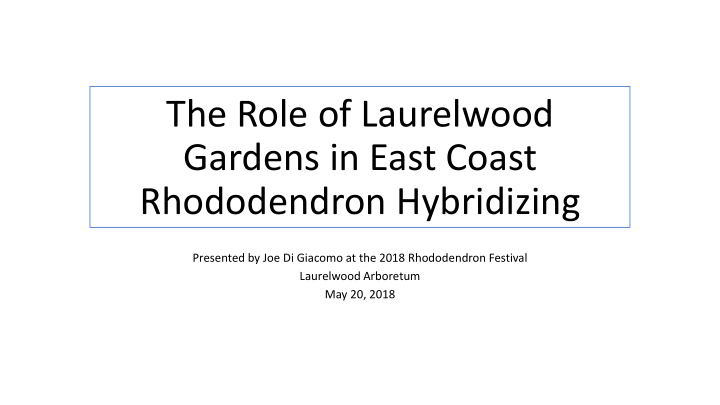 the role of laurelwood gardens in east coast rhododendron