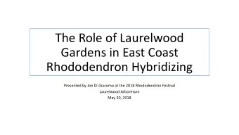 The Role of Laurelwood  Gardens in East Coast  Rhododendron Hybridizing  Presented by Joe Di