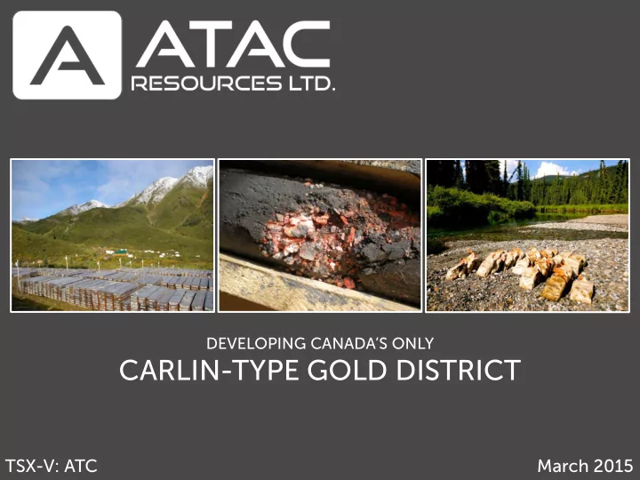 carlin type gold district