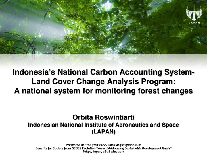 indonesia s national carbon accounting system land cover