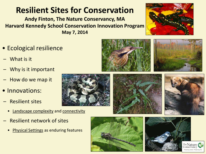 resilient sites for conservation