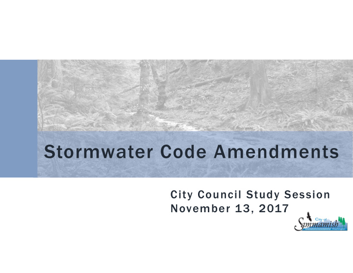 stormwater code amendments