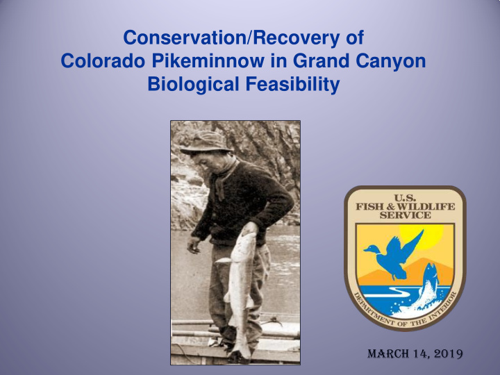 conservation recovery of colorado pikeminnow in grand