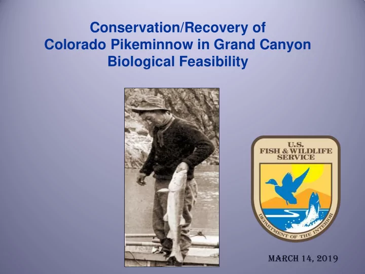 conservation recovery of colorado pikeminnow in grand