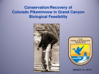 Conservation/Recovery of Colorado Pikeminnow in Grand Canyon  Biological Feasibility  March 14,