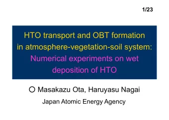 HTO transport and OBT formation  in atmosphere-vegetation-soil system:  Numerical experiments on