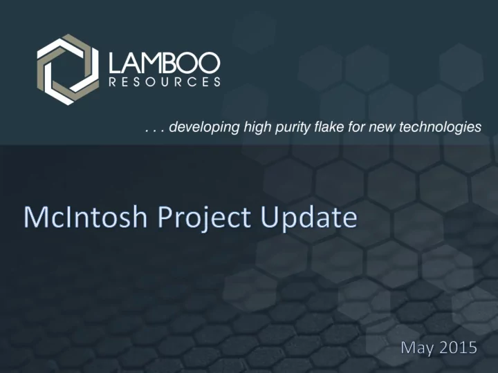 investment in lamboo resources limited lamboo or the