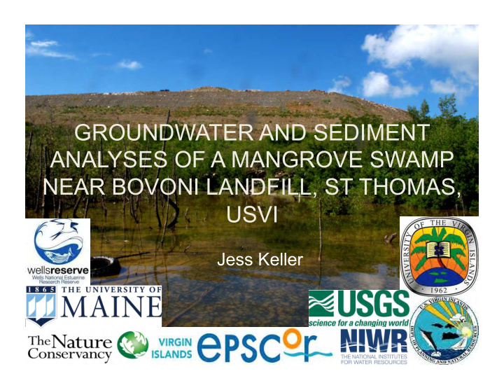 groundwater and sediment analyses of a mangrove swamp