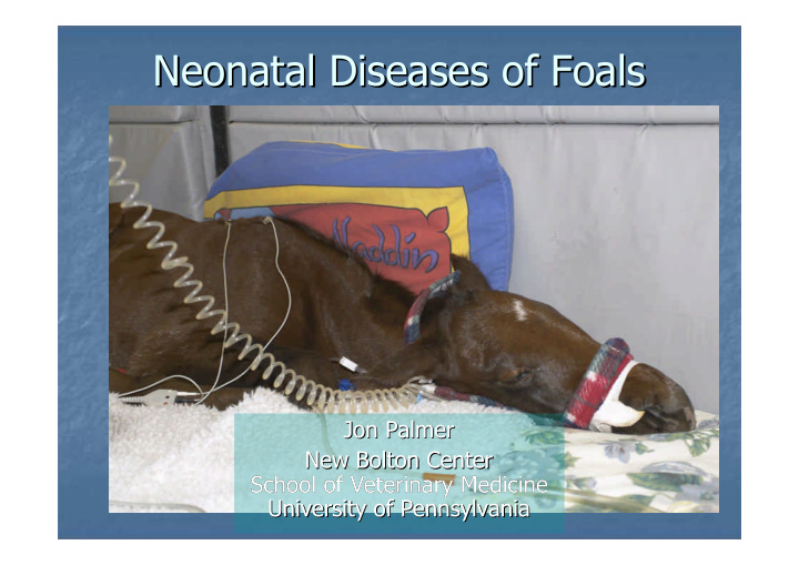 neonatal diseases of foals neonatal diseases of foals