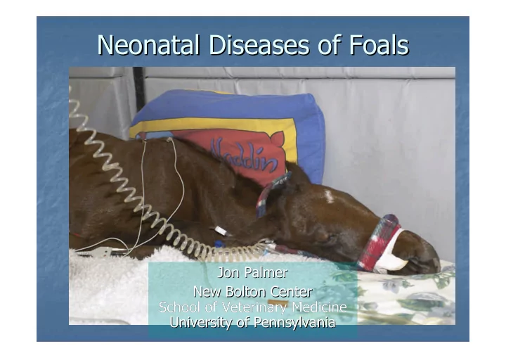 neonatal diseases of foals neonatal diseases of foals