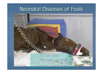Neonatal Diseases of Foals  Neonatal Diseases of Foals  Jon Palmer  Jon Palmer  New Bolton Center