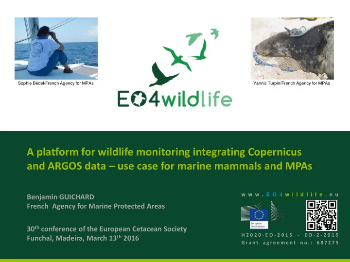 a platform for wildlife monitoring integrating copernicus