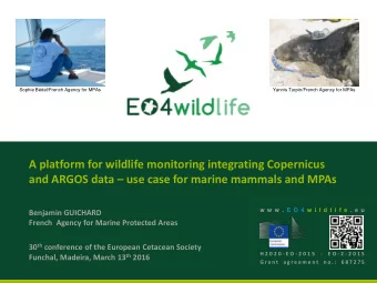 A platform for wildlife monitoring integrating Copernicus and ARGOS data  use case for marine