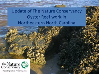 Northeastern North Carolina  Oyster Sanctuary work from 2002-2006  2008-Current Oyster Reef