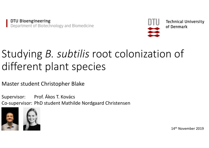 studying b subtilis root colonization of different plant