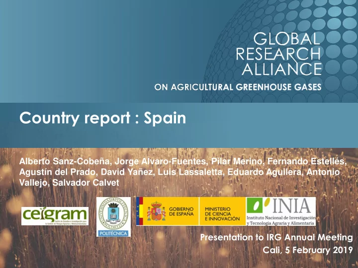 country report spain