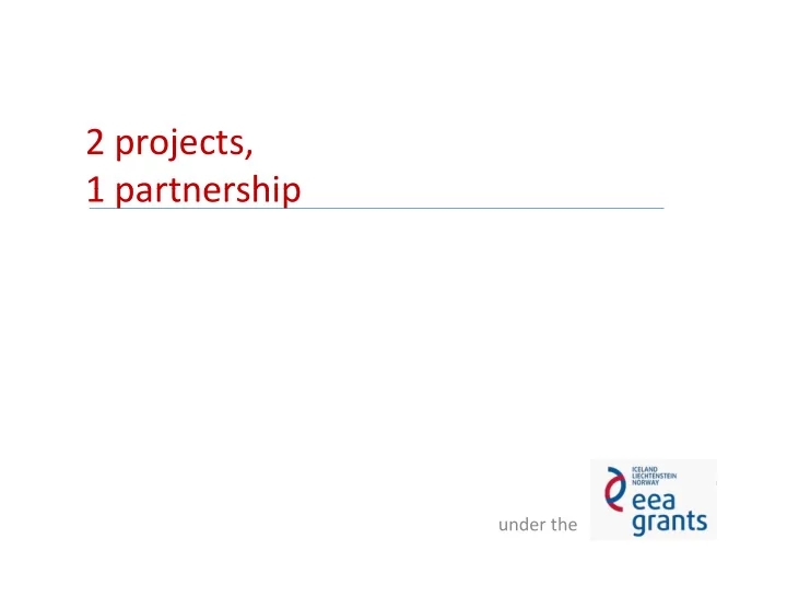 2 projects 1 partnership 1 partnership