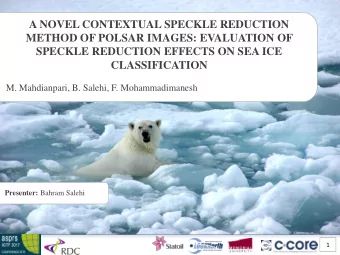 CLASSIFICATION  M. Mahdianpari, B. Salehi, F. Mohammadimanesh Presenter: Bahram Salehi  1  Content