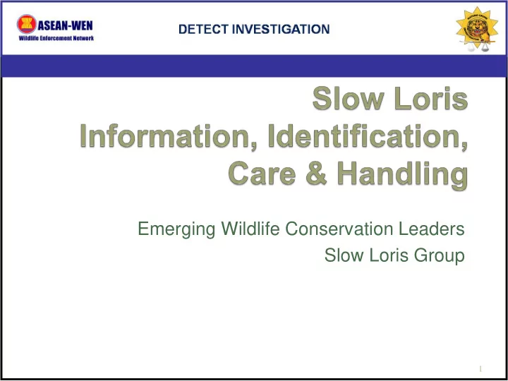 emerging wildlife conservation leaders