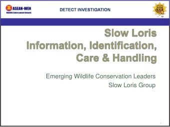 Emerging Wildlife Conservation Leaders  Slow Loris Group  1  Welcome  Brandon Speeg  What is