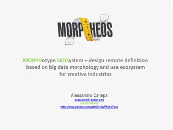 MORPHotype EcOSystem  design remote definition  based on big data morphology and use ecosystem