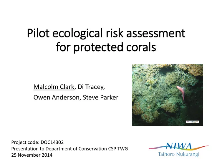 pilot ecological risk assessment for protected corals