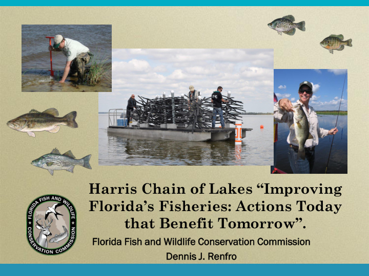 harris chain of lakes improving florida s fisheries