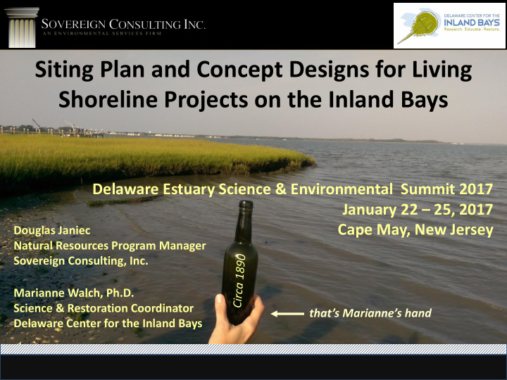 siting plan and concept designs for living shoreline