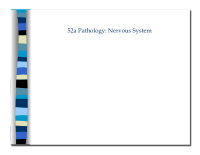 52a pathology nervous system 52a pathology nervous system