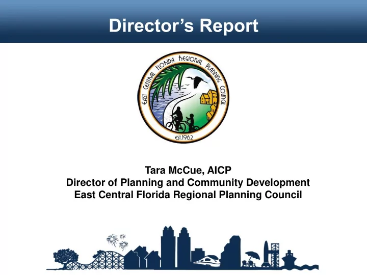 director s report